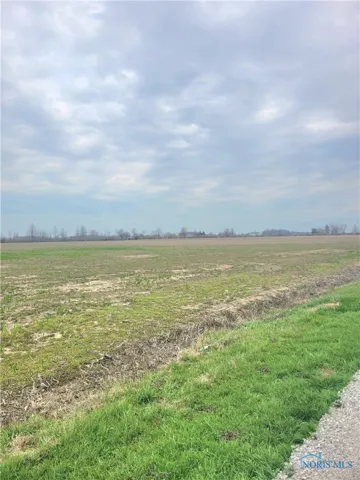 19433 W. Walbridge East Road, Martin, Ohio 43445, ,Land,For Sale,W. Walbridge East,6128652
