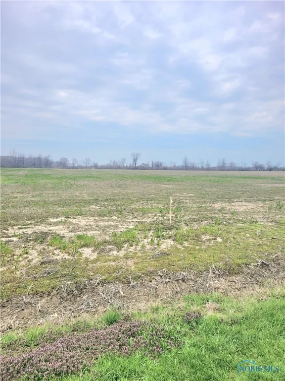19395 W. Walbridge East Road, Martin, Ohio 43445, ,Land,For Sale,W. Walbridge East,6128655