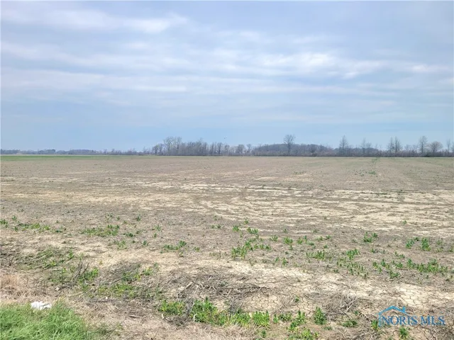 19367 W. Walbridge East Road, Martin, Ohio 43445, ,Land,For Sale,W. Walbridge East,6128656