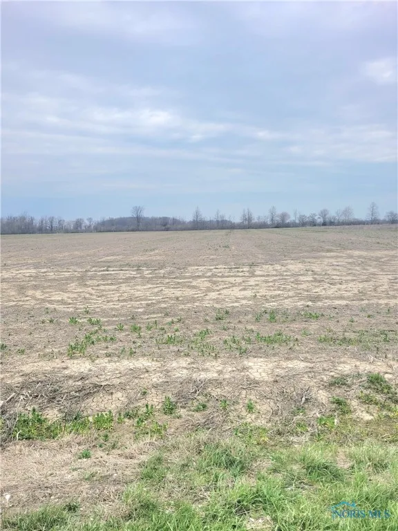 Track 1 W. Walbridge East Road, Martin, Ohio 43445, ,Land,For Sale,W. Walbridge East,6128642