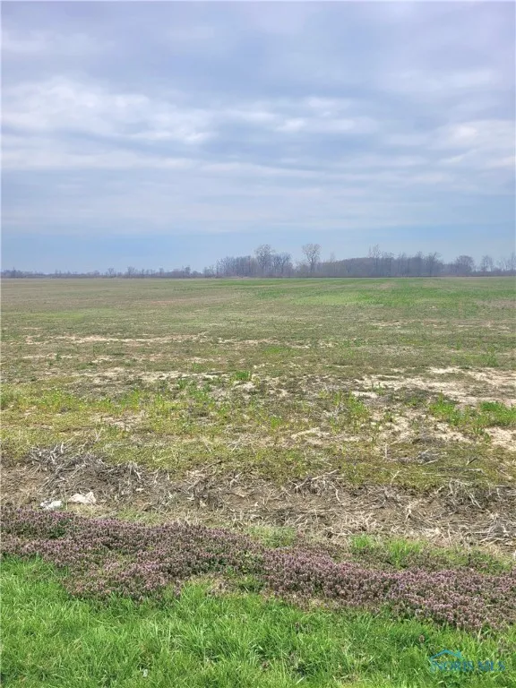 Track 1 W. Walbridge East Road, Martin, Ohio 43445, ,Land,For Sale,W. Walbridge East,6128642