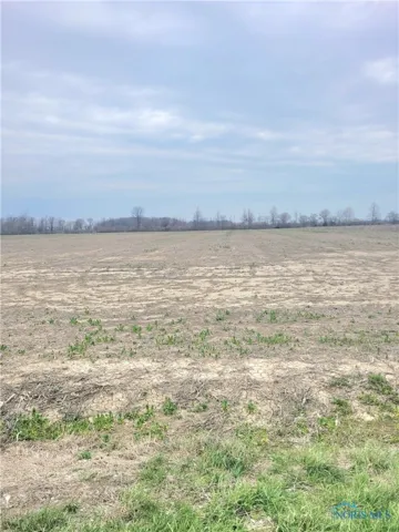 Track 1 W. Walbridge East Road, Martin, Ohio 43445, ,Land,For Sale,W. Walbridge East,6128642