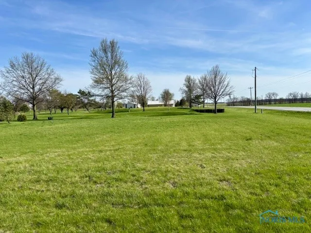 0 Sr 115 & Rd J, Ottawa, Ohio 45875, ,Land,For Sale,SR 115 & Rd J,6128830