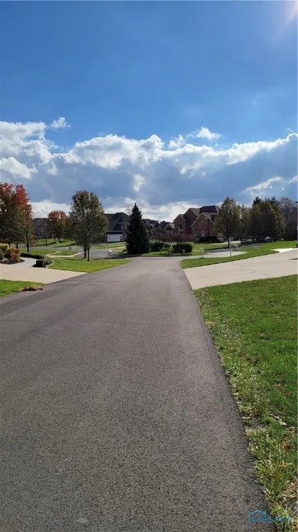 26298 W River Road, Perrysburg, Ohio 43551, ,Land,For Sale,River,6128813
