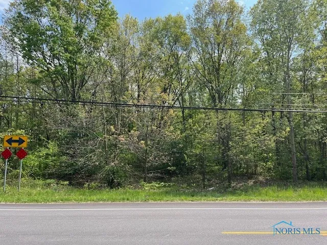10637 Old State Line Road, Swanton, Ohio 43558, ,Land,For Sale,Old State Line,6129899