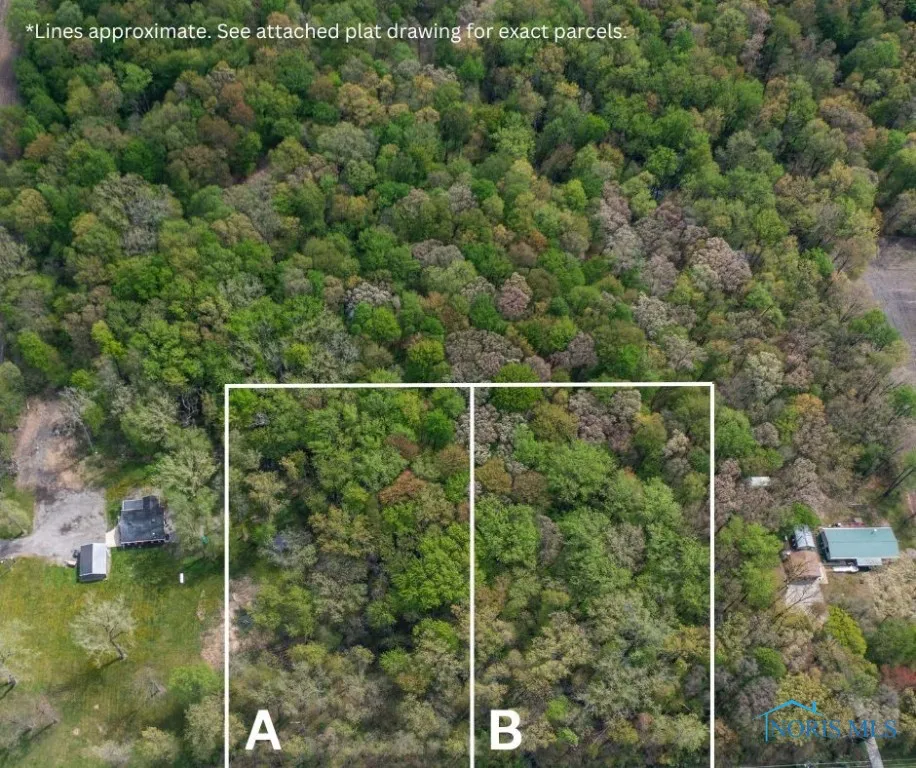 0 Manore, Grand Rapids, Ohio 43522, ,Land,For Sale,Manore, Lot A,6130402