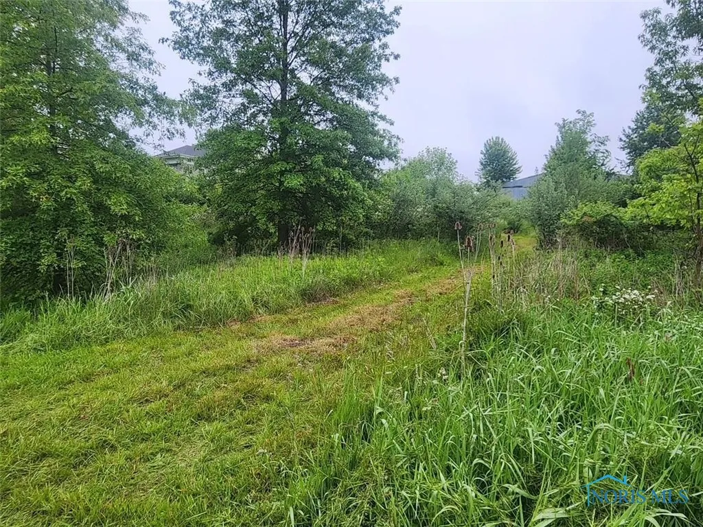 18205 County Highway 96, Upper Sandusky, Ohio 43351, ,Land,For Sale,County Highway 96,6130439