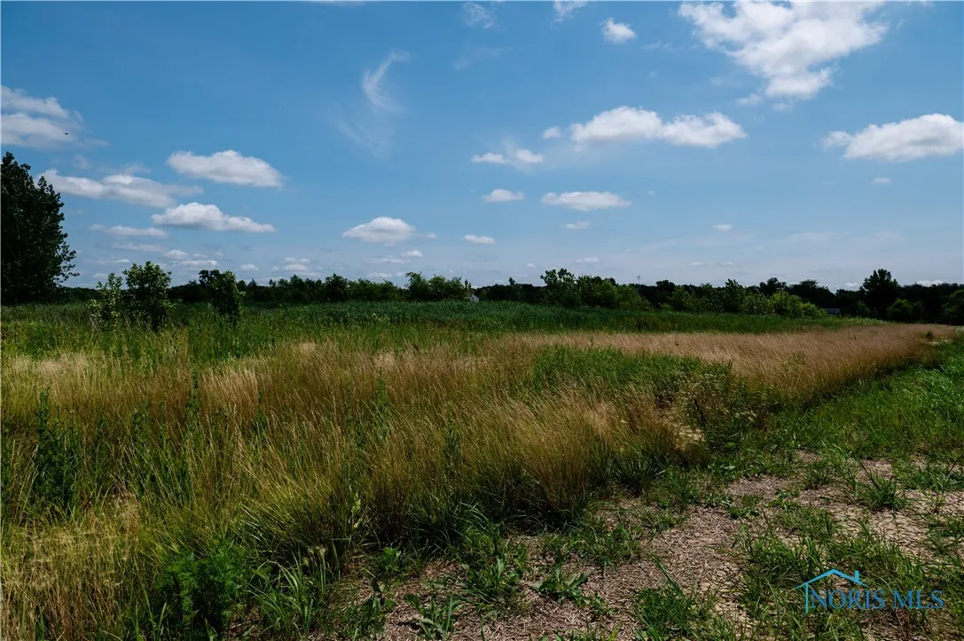 0 Road 111, Paulding, Ohio 45879, ,Land,For Sale,Road 111,6130505