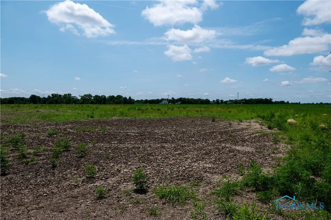 0 Road 111, Paulding, Ohio 45879, ,Land,For Sale,Road 111,6130505