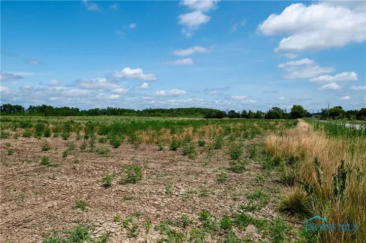 0 Road 111, Paulding, Ohio 45879, ,Land,For Sale,Road 111,6130505