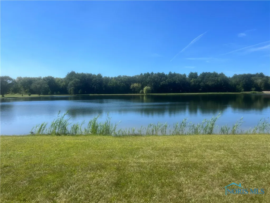3101 County Road 1, Swanton, Ohio 43558, ,Land,For Sale,County Road 1,6130741