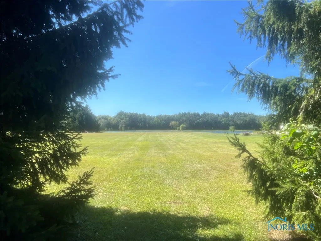 3101 County Road 1, Swanton, Ohio 43558, ,Land,For Sale,County Road 1,6130741