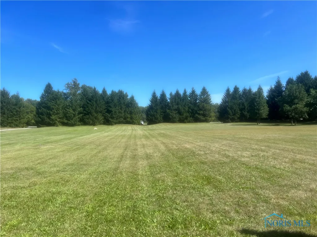 3101 County Road 1, Swanton, Ohio 43558, ,Land,For Sale,County Road 1,6130741