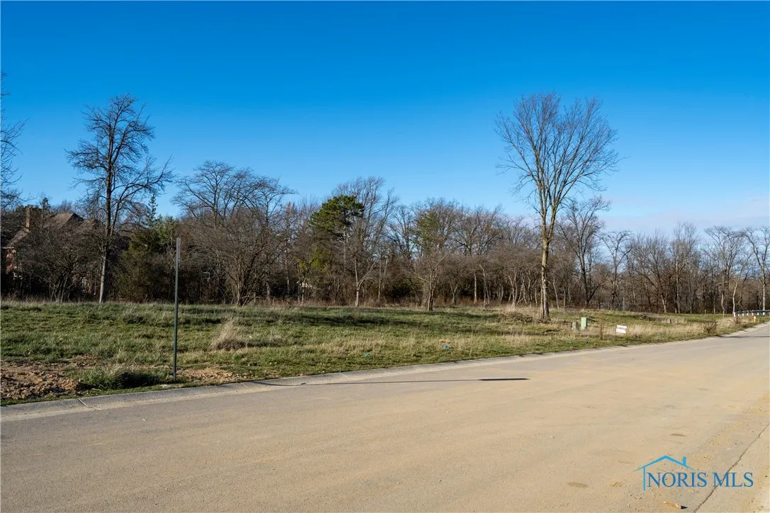 470 Delaware Drive, Perrysburg, Ohio 43551, ,Land,For Sale,Delaware,6131600