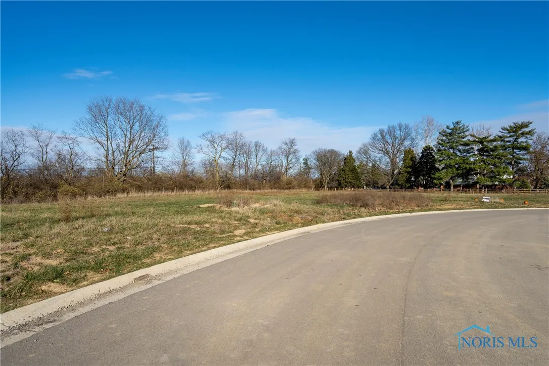 494 Delaware Drive, Perrysburg, Ohio 43551, ,Land,For Sale,Delaware,6131601