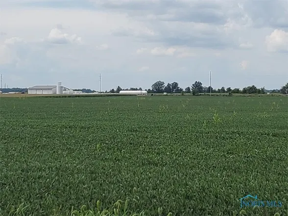 0 State Highway 53, Upper Sandusky, Ohio 43351, ,Land,For Sale,State Highway 53,6132082