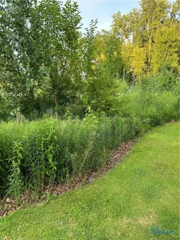 2946 Elmwood Drive, Sylvania, Ohio 43560, ,Land,For Sale,Elmwood,6132266