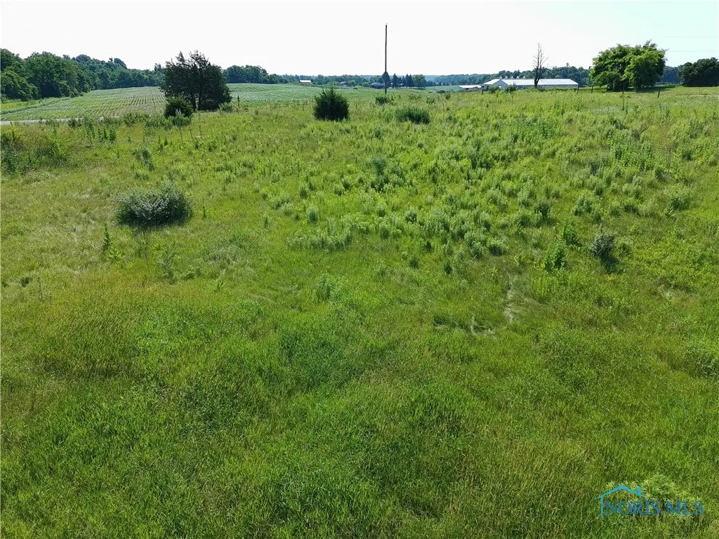 00 County Road 1-50, Edon, Ohio 43518, ,Land,For Sale,County Road 1-50,6132292