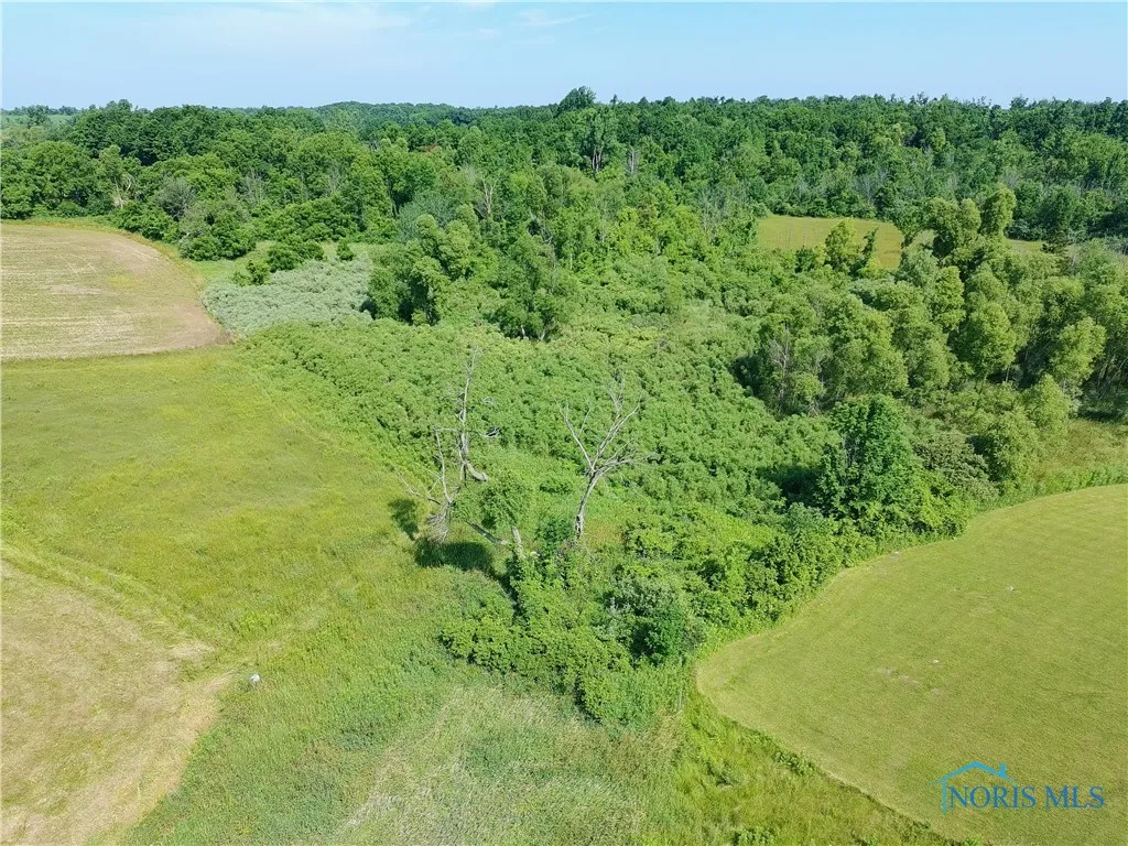 00 County Road 1-50, Edon, Ohio 43518, ,Land,For Sale,County Road 1-50,6132292