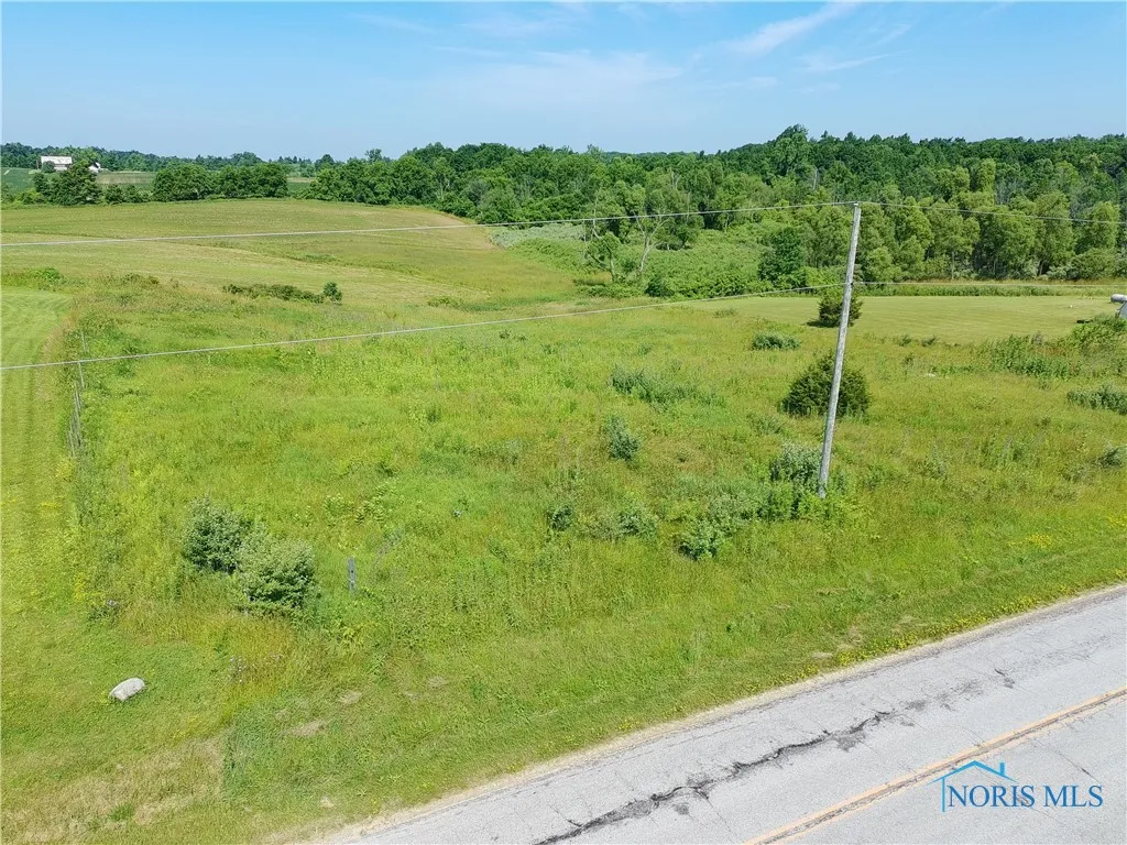 00 County Road 1-50, Edon, Ohio 43518, ,Land,For Sale,County Road 1-50,6132292