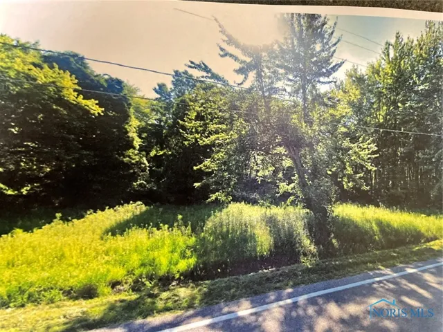4303 S Berkey Southern Road, Swanton, Ohio 43558, ,Land,For Sale,Berkey Southern,6132374