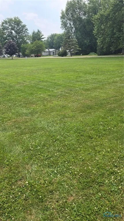 0 Reed Street, Mcclure, Ohio 43534, ,Land,For Sale,Reed,6132545