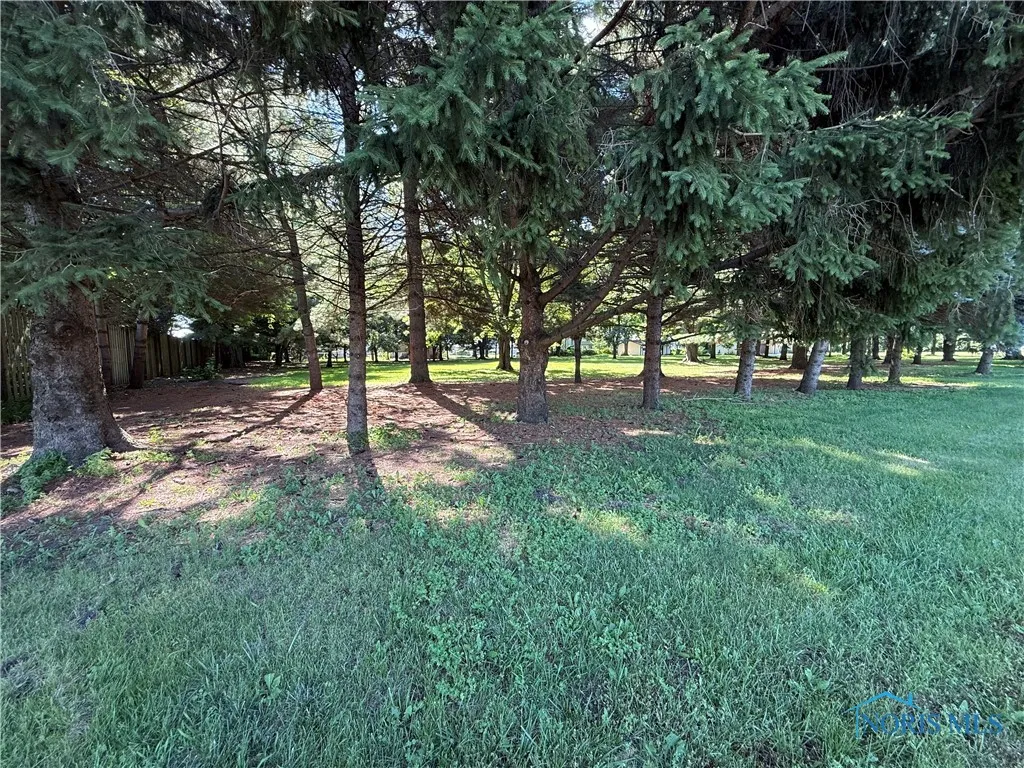3046 N King Road, Toledo, Ohio 43617, ,Land,For Sale,King,6131720
