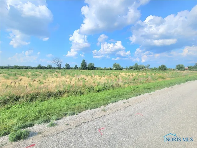0 W. Walbridge East Road, Martin, Ohio 43445, ,Land,For Sale,W. Walbridge East,6132689