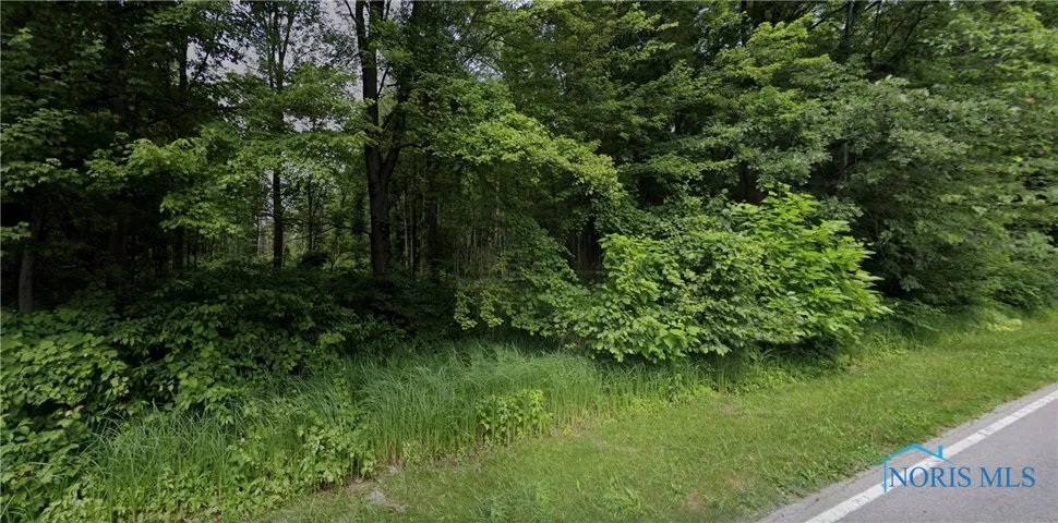 290 Crissey Road, Holland, Ohio 43528, ,Land,For Sale,Crissey,6132735