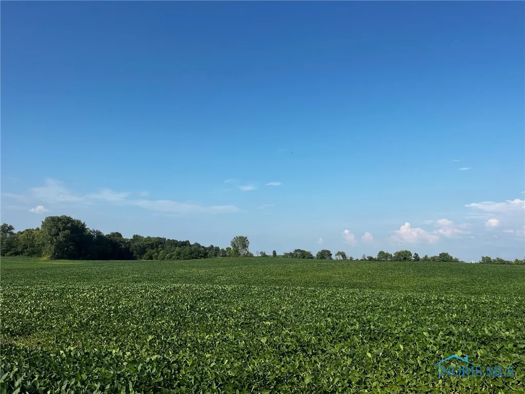 0 Oh-67, Wapakoneta, Ohio 45895, ,Land,For Sale,Oh-67,6132715