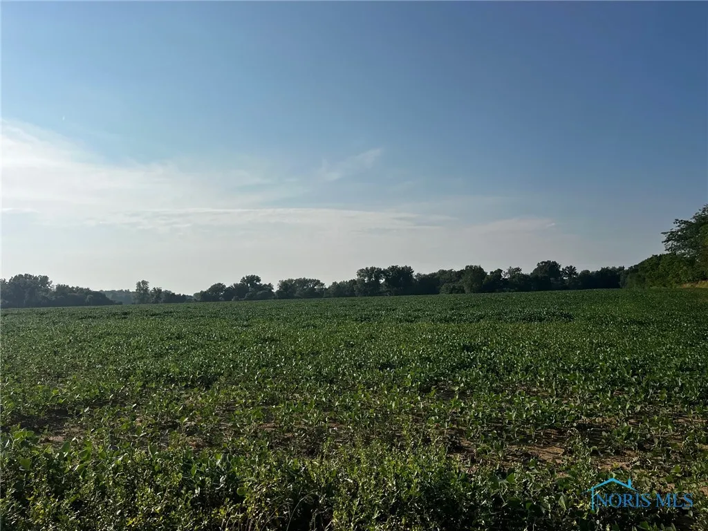 0 Oh-67, Wapakoneta, Ohio 45895, ,Land,For Sale,Oh-67,6132715
