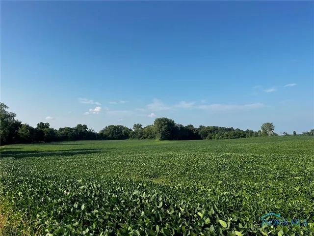 0 Oh-67, Wapakoneta, Ohio 45895, ,Land,For Sale,Oh-67,6132715