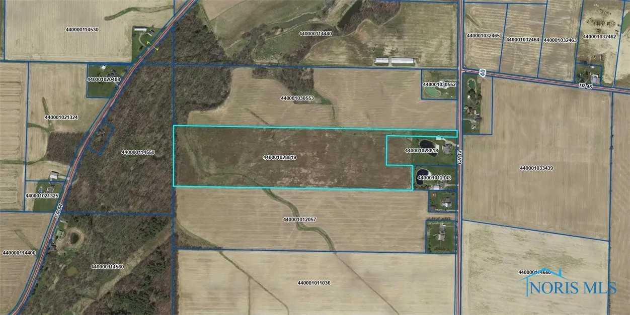 0 County Road 12, Rawson, Ohio 45881, ,Land,For Sale,County Road 12,6133107