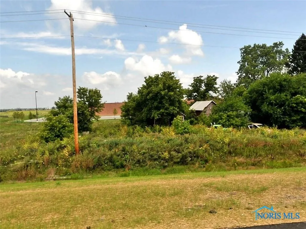 8720 Waterville Swanton Road, Waterville, Ohio 43566, ,Land,For Sale,Waterville Swanton,6133227