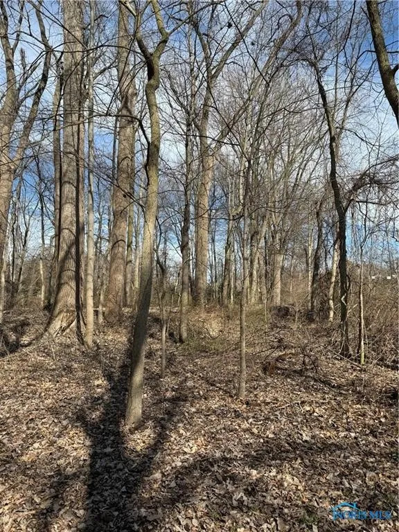 6097 Huntington Road, Sylvania, Ohio 43560, ,Land,For Sale,Huntington,6133319