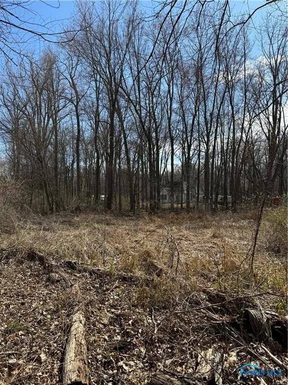6097 Huntington Road, Sylvania, Ohio 43560, ,Land,For Sale,Huntington,6133319
