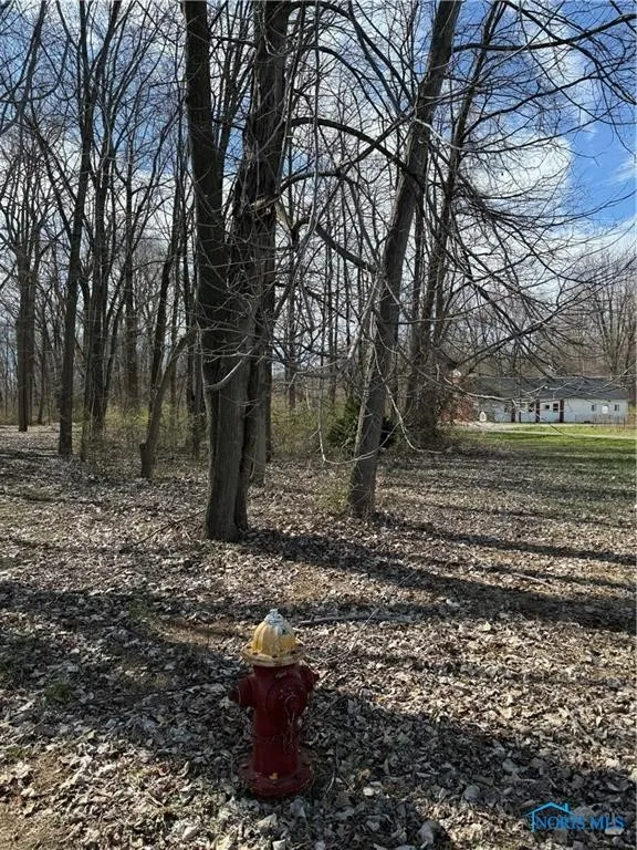 6097 Huntington Road, Sylvania, Ohio 43560, ,Land,For Sale,Huntington,6133319