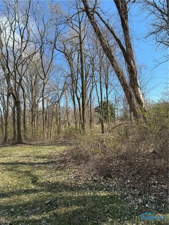 6097 Huntington Road, Sylvania, Ohio 43560, ,Land,For Sale,Huntington,6133319