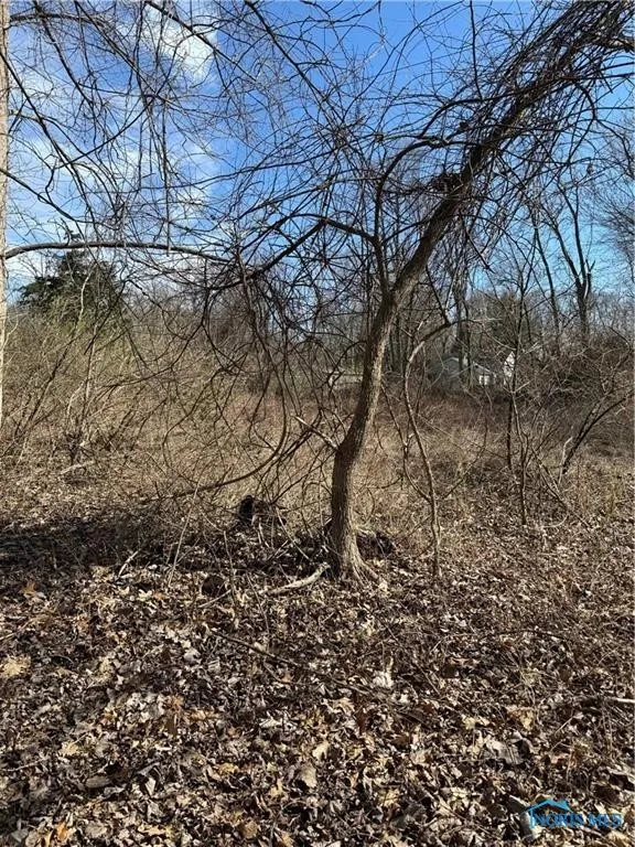 6097 Huntington Road, Sylvania, Ohio 43560, ,Land,For Sale,Huntington,6133319