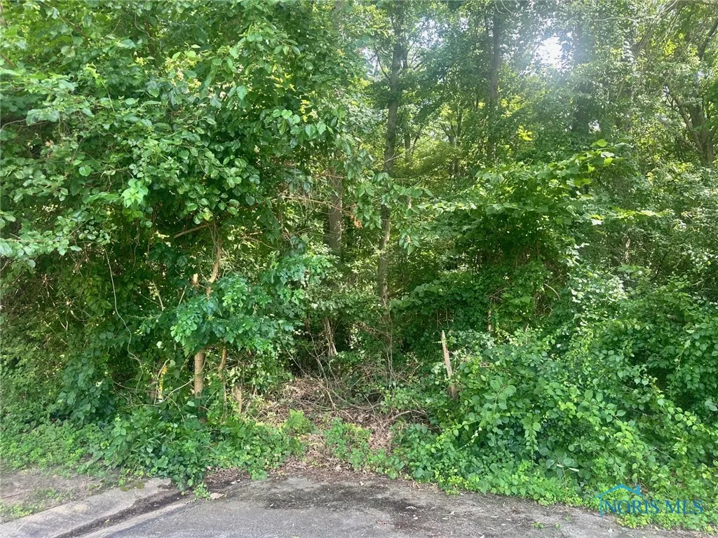 6324 Bapst Avenue, Toledo, Ohio 43615, ,Land,For Sale,Bapst,6133358