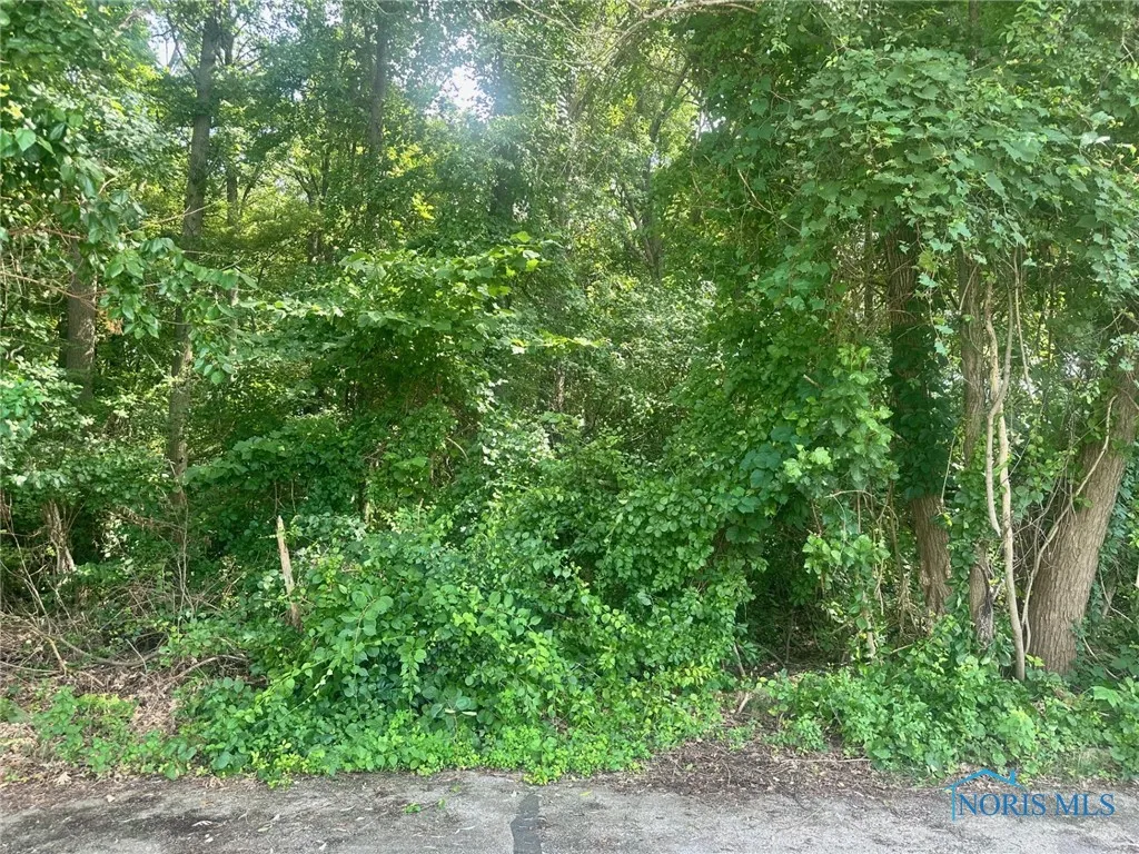 6324 Bapst Avenue, Toledo, Ohio 43615, ,Land,For Sale,Bapst,6133358