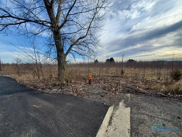 Us 30 & Sr 23, Upper Sandusky, Ohio 43351, ,Land,For Sale,& SR 23,6133468
