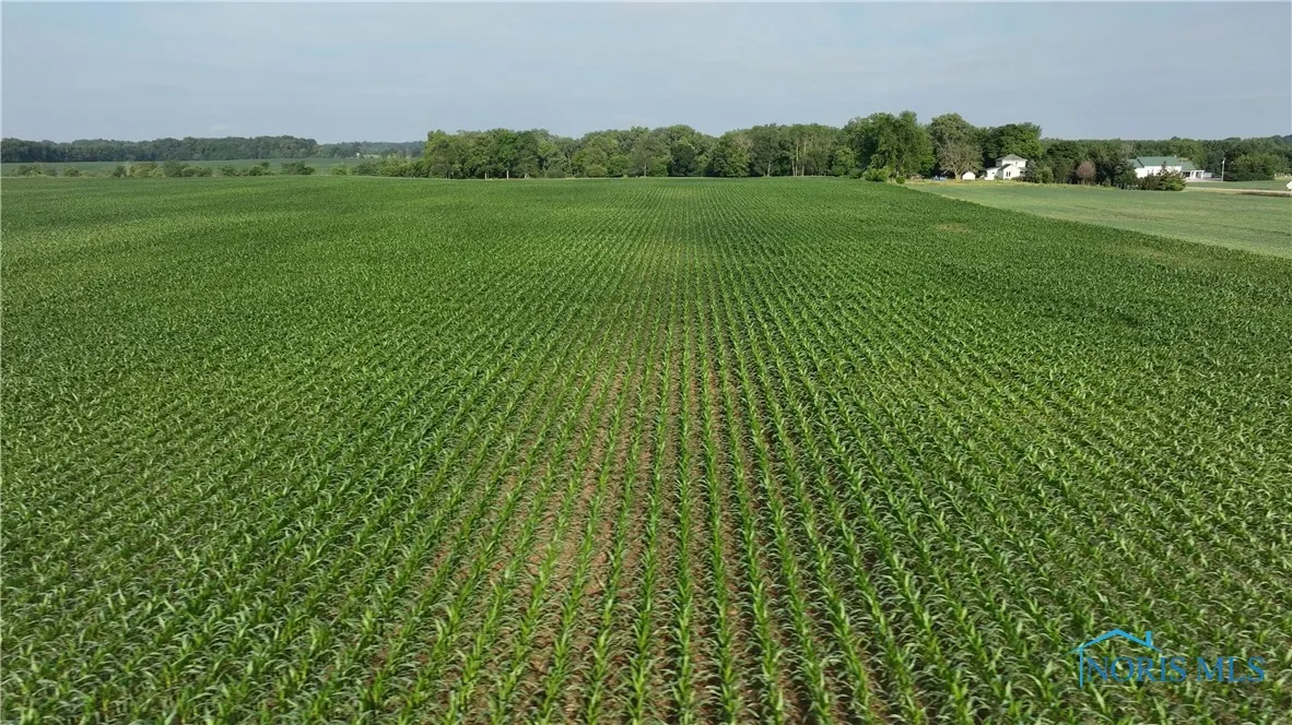 0000 St. Rt. 2 - Tract 2, Farmer City, Ohio 43526, ,Land,For Sale,St. Rt. 2 - Tract 2,6133474