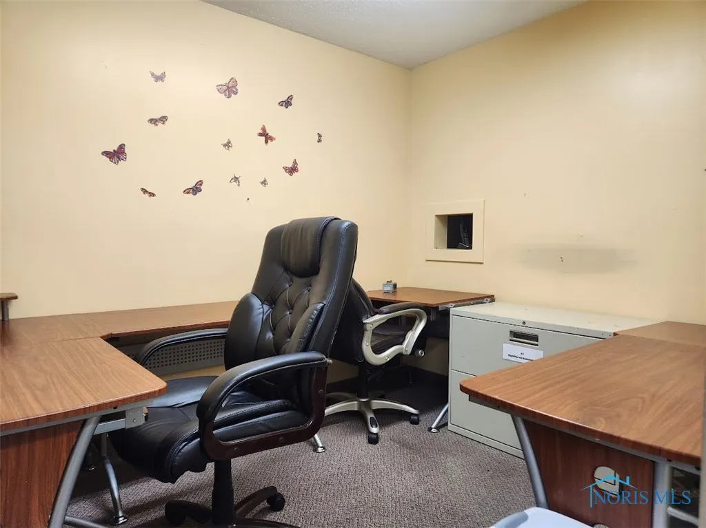 46 Hillwyck Drive, Toledo, Ohio 43615, ,Commercial Lease,For Rent,Hillwyck,6133439