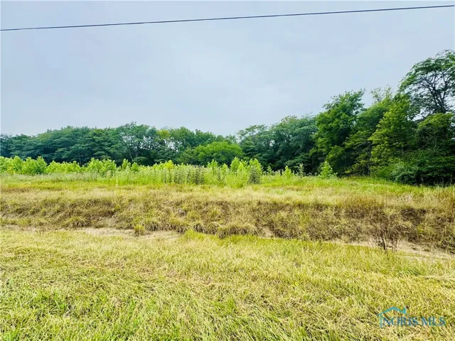 00 Scott Road, Bryan, Ohio 43506, ,Land,For Sale,SCOTT ROAD,6133473