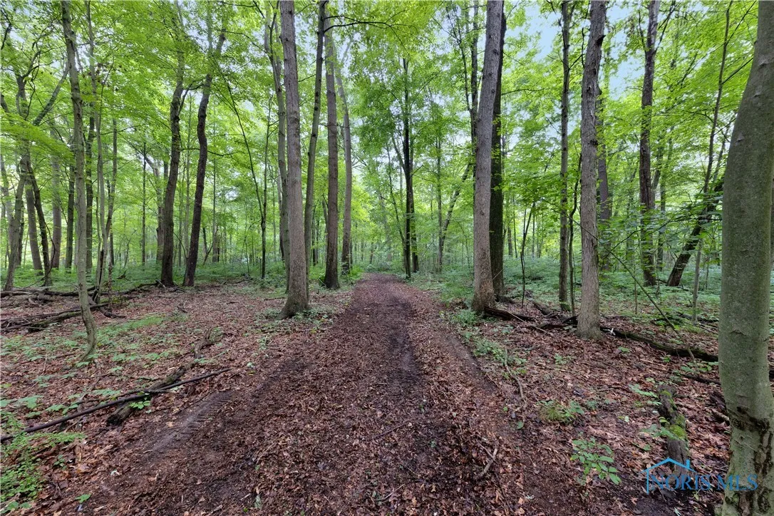 0 County Road L, Wauseon, Ohio 43567, ,Land,For Sale,County Road L,6133663