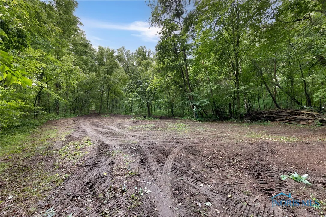0 County Road L, Wauseon, Ohio 43567, ,Land,For Sale,County Road L,6133663