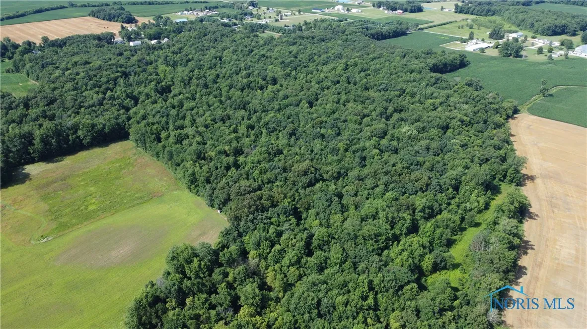 0 County Road L, Wauseon, Ohio 43567, ,Land,For Sale,County Road L,6133663
