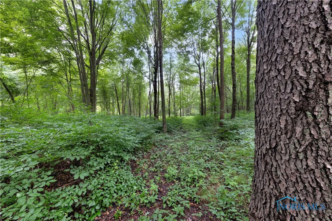 0 County Road L, Wauseon, Ohio 43567, ,Land,For Sale,County Road L,6133663