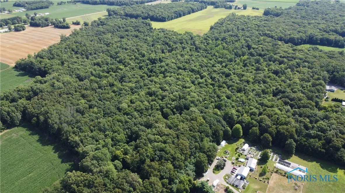 0 County Road L, Wauseon, Ohio 43567, ,Land,For Sale,County Road L,6133663